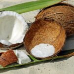 Jumbo Coconut Bowls