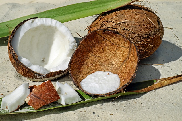 Jumbo Coconut Bowls